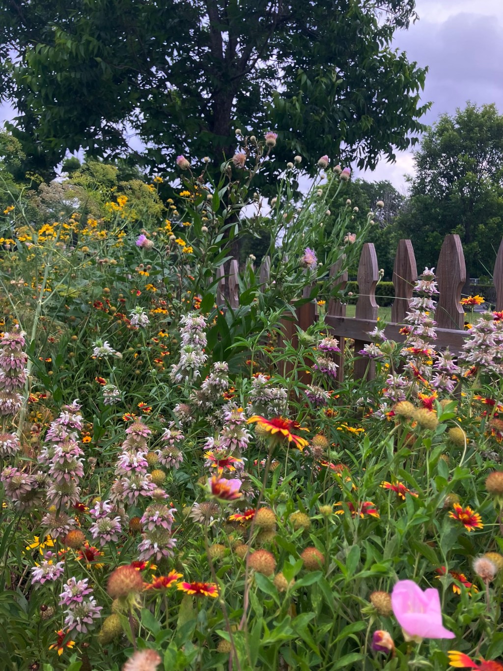 Parish Wildflower Garden