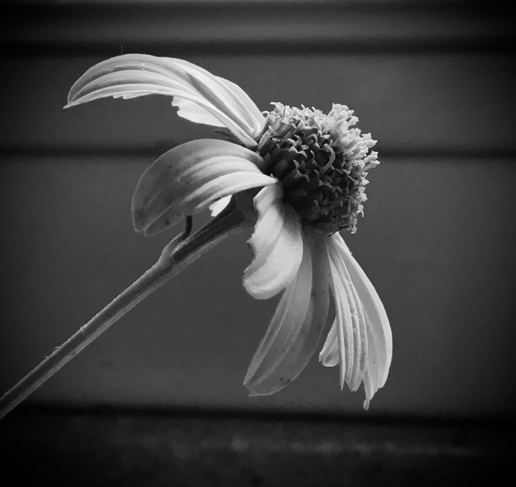 Searching…